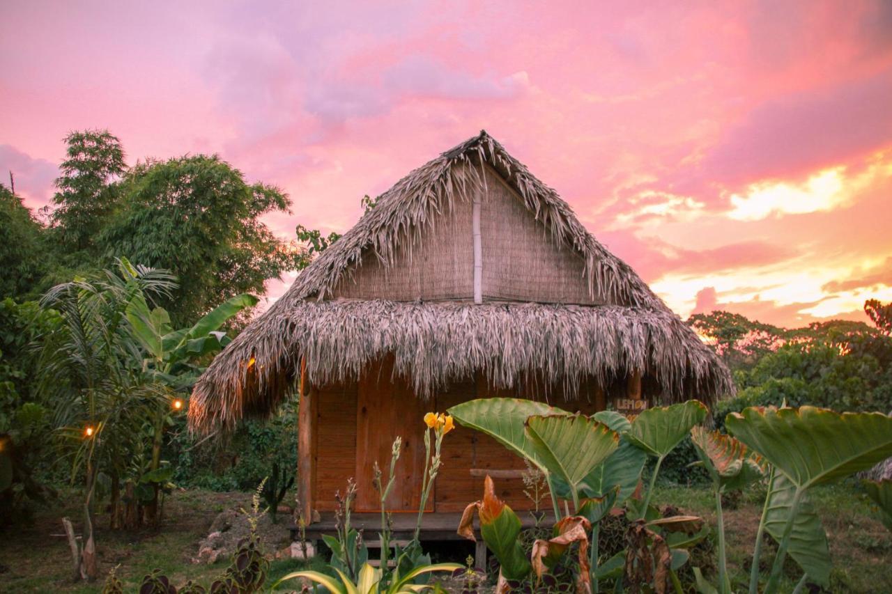 Samana Ecolodge El Limon Extérieur photo