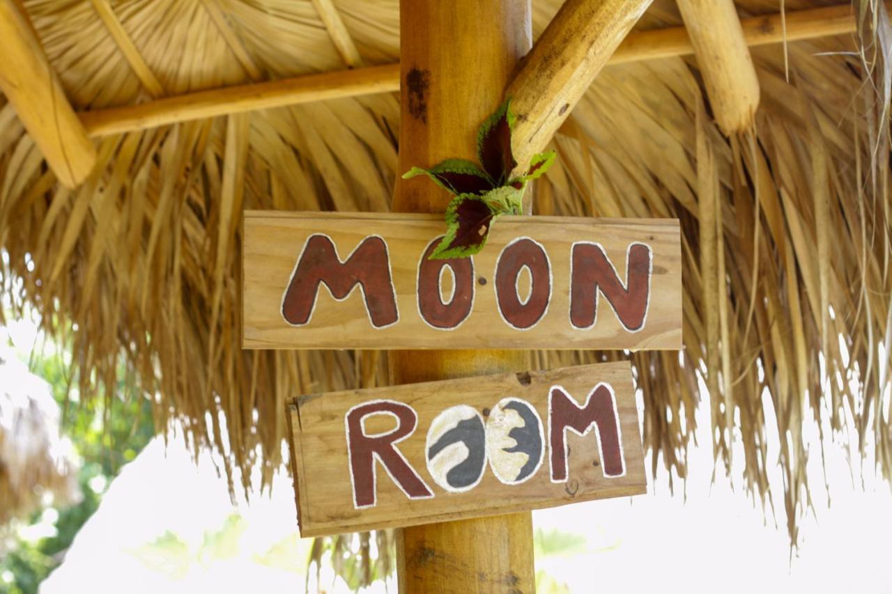 Samana Ecolodge El Limon Extérieur photo