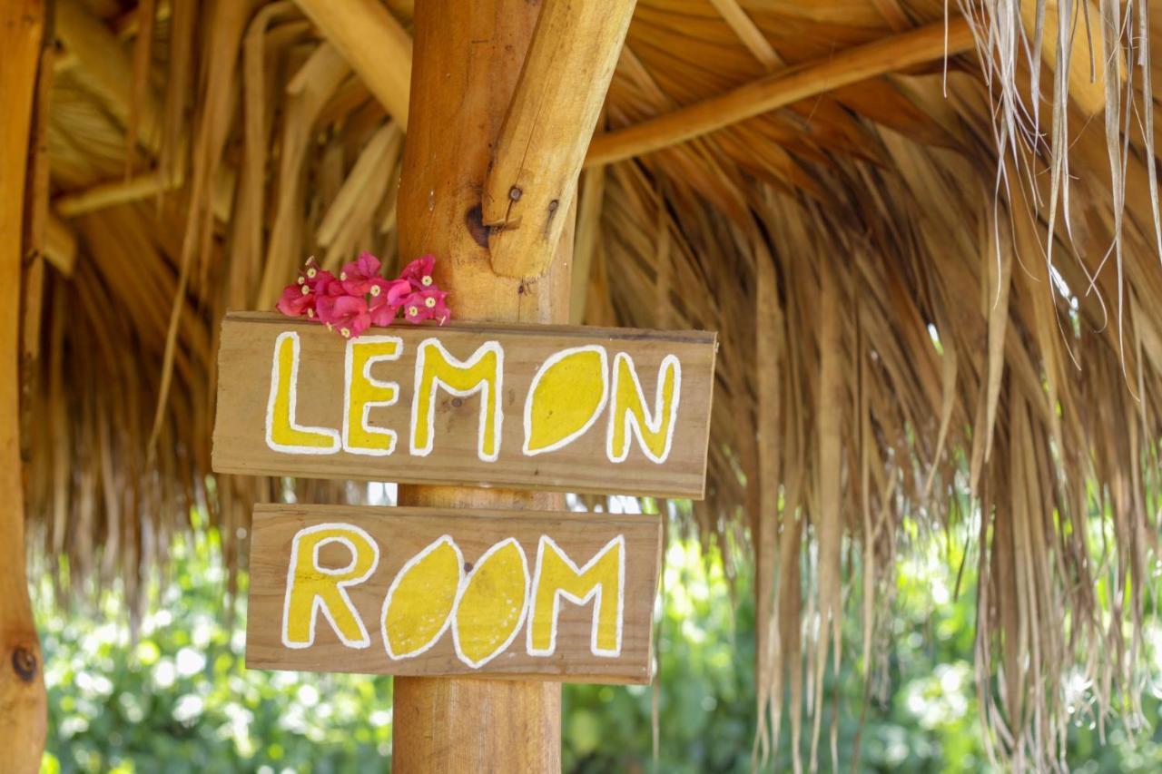 Samana Ecolodge El Limon Extérieur photo