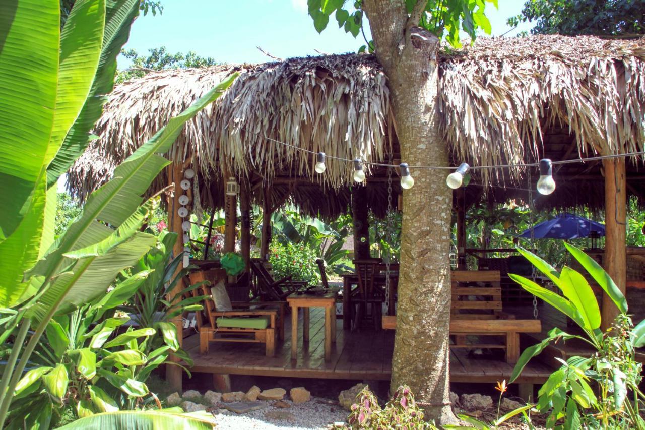 Samana Ecolodge El Limon Extérieur photo