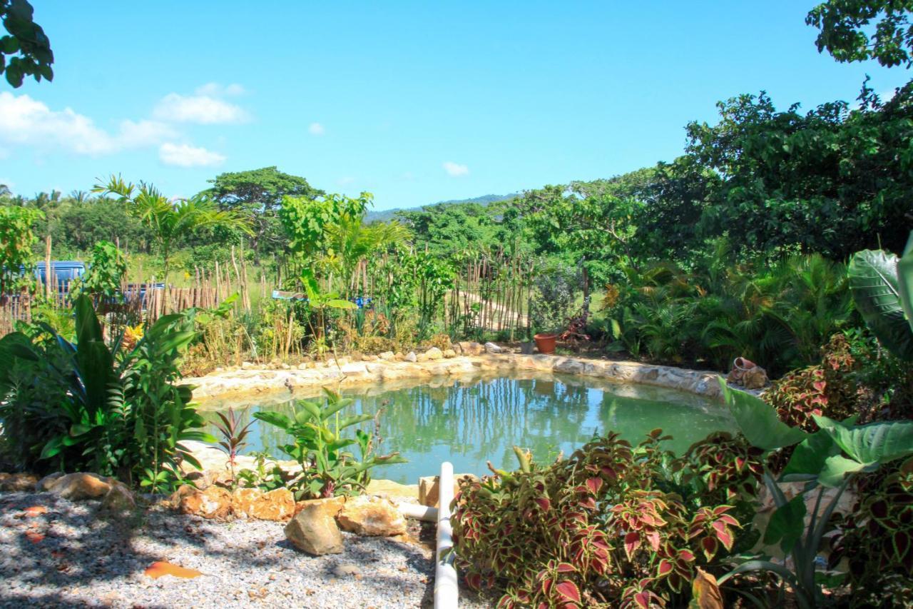 Samana Ecolodge El Limon Extérieur photo