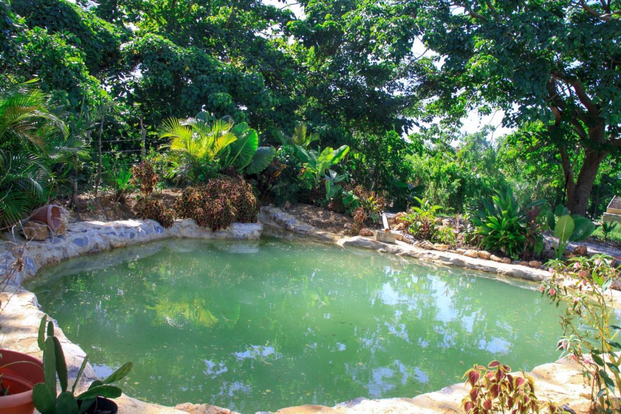 Samana Ecolodge El Limon Extérieur photo