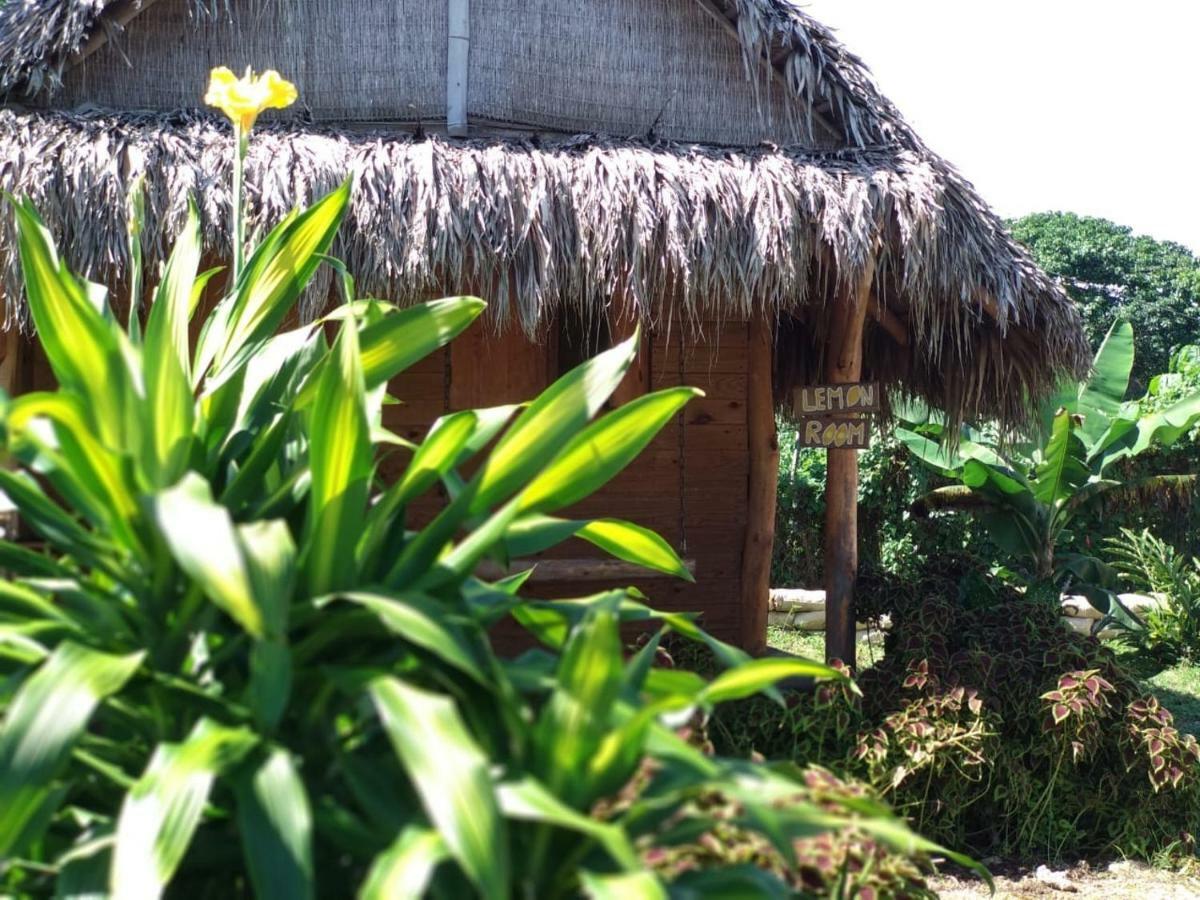 Samana Ecolodge El Limon Extérieur photo