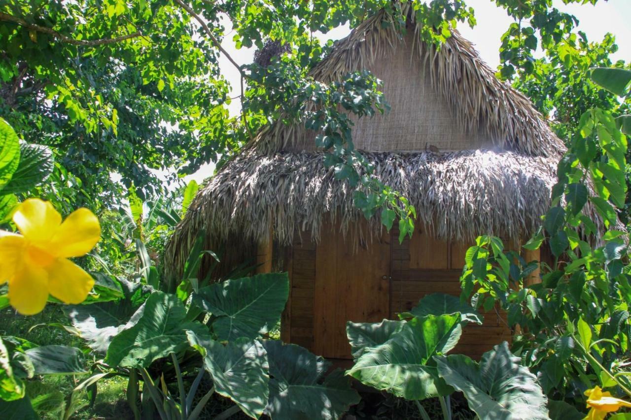 Samana Ecolodge El Limon Extérieur photo