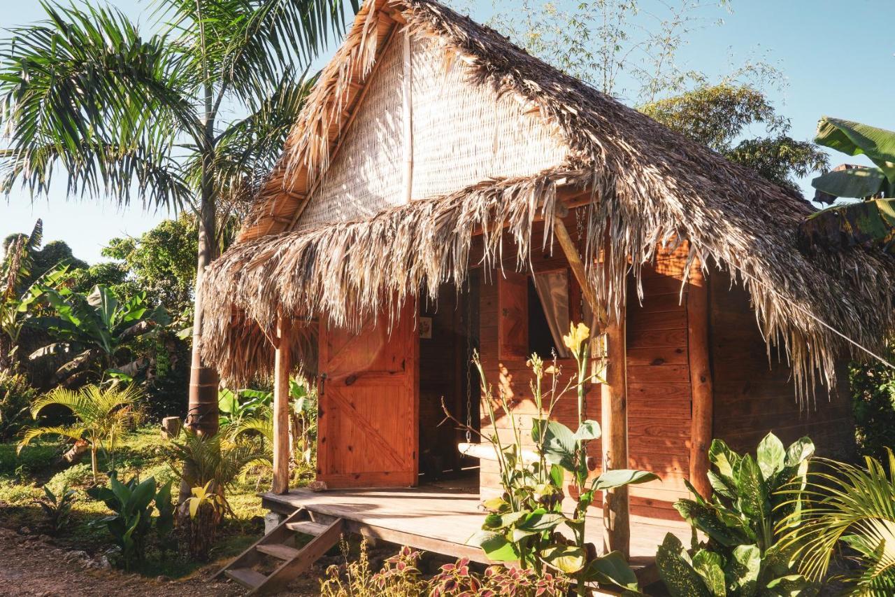 Samana Ecolodge El Limon Extérieur photo