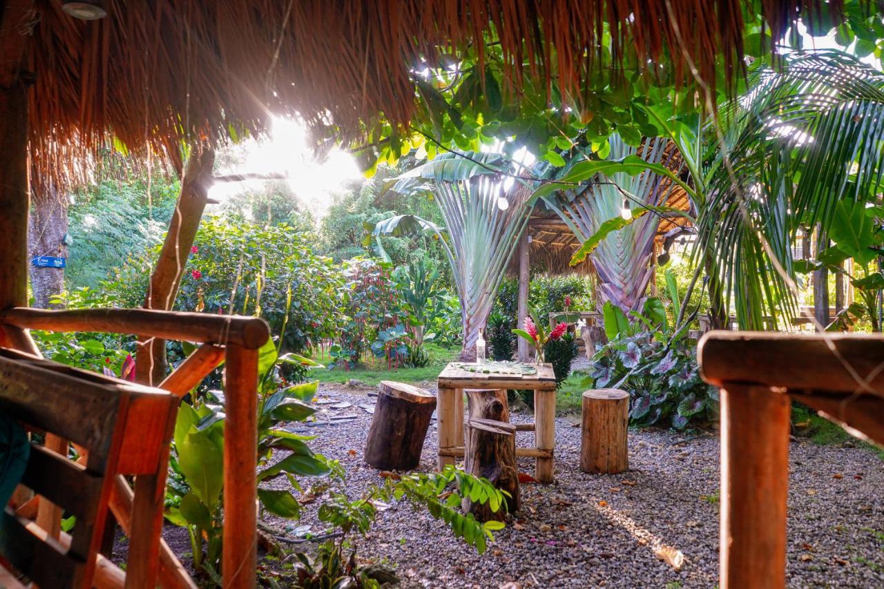 Samana Ecolodge El Limon Extérieur photo