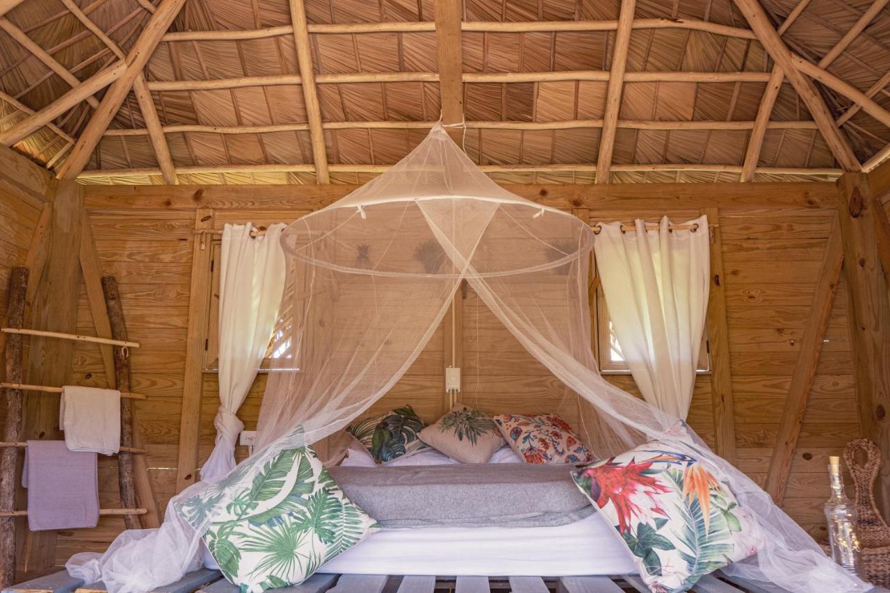 Samana Ecolodge El Limon Extérieur photo