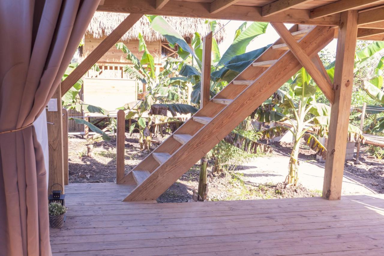 Samana Ecolodge El Limon Extérieur photo