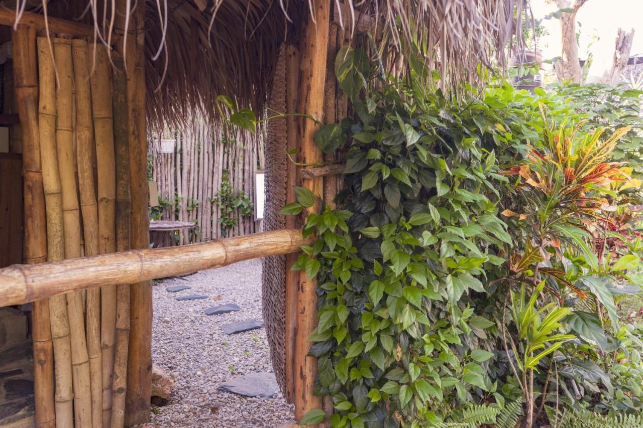 Samana Ecolodge El Limon Extérieur photo